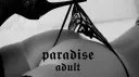 ᴾᵃʳᵃᵈⁱˢᵉ¹⁸⁺ banner