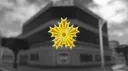 N.P.A.N. banner