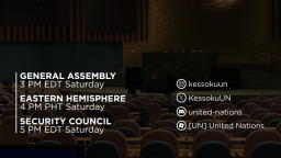 United Nations server banner