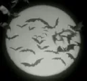 ghostal server banner