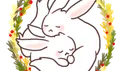토끼자리 server banner