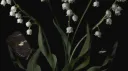 Home of Athena ✦ Book Club, Reading, and Literature Community banner