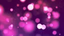 CumRocket banner