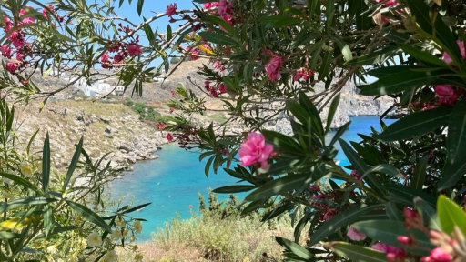 Amai Discord server banner