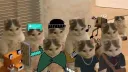 Awooga Central (18+) Discord server banner