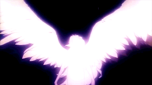 pink paradise・chatting・guild tag・giveaways Discord server banner