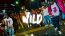 WILD banner