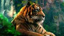 Bengal   [.gg/bangladeshi] Discord server banner