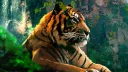 Bengal   [.gg/bangladeshi] banner