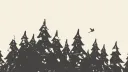 Birdwood Games banner