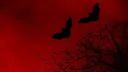 𝘴𝘱𝘰𝘰𝘬𝘺 𝘷𝘢𝘮𝘱 𝘤𝘭𝘶𝘣 banner
