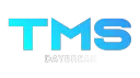 TMS I Hungarian banner
