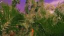 Jungle Banner