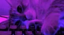 Airflow banner