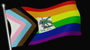 Freezecord Banner