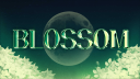 BLOSSOM | 마인크래프트&디자인 서버 Discord server banner