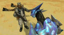 HaloRuns banner