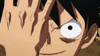 One Piece VRC banner