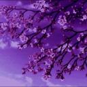 𝙼𝚢_𝙰𝚗𝚒𝚖𝚎_𝚆𝚘𝚛𝚕𝚍 Banner