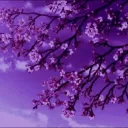 𝙼𝚢_𝙰𝚗𝚒𝚖𝚎_𝚆𝚘𝚛𝚕𝚍 banner