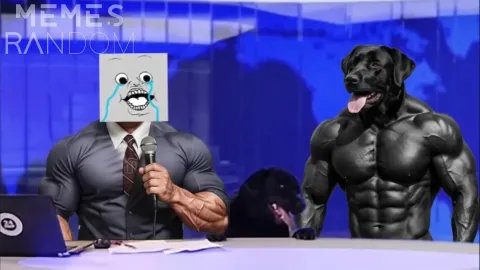 MEMES RANDOM banner