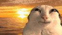 spicysushi_poe Discord server banner
