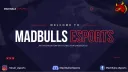 MAD BULLS ESPORTS banner
