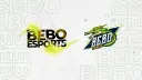 BeBo Esports banner