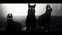 B4L banner