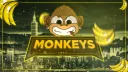 Monkeys City banner