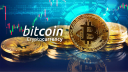 Miranda Miner Bitcoin, Forex, Stocks and Crypto Community Discord server banner