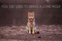 WOLF Gaming Banner