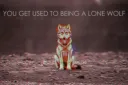 WOLF Gaming banner