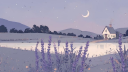 ୨୧・❀ Lavender Fields banner