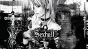 Sexhall banner