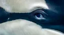 𝐂𝐡𝐨𝐫𝐝𝐚𝐭𝐚 banner
