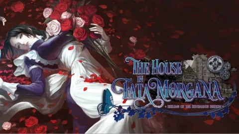 VN Readers banner
