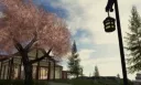 Sakura Kitchen (OLD) banner