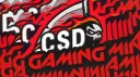 C$DGaming (Rebuilding) banner