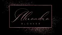 Blinker Blonker Server banner