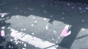 𝓎𝓊𝒽𝑜 server banner