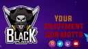 Black Flag Kingdom banner
