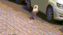 SpaceShoobs! banner