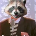 The Raccoon Den banner