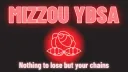 Mizzou YDSA banner