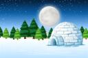 TPN™ | The Polar Network Banner
