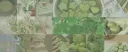 ☆★  ..  neocore ꜝꜝ 🦋 banner