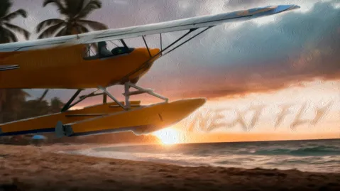 Next Fly banner