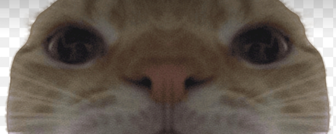 Jeder Banner
