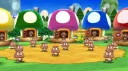 The Goomba Kingdom banner